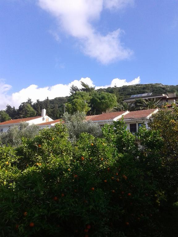 Aggelos Kefalonia Lassi لاسي المظهر الخارجي الصورة